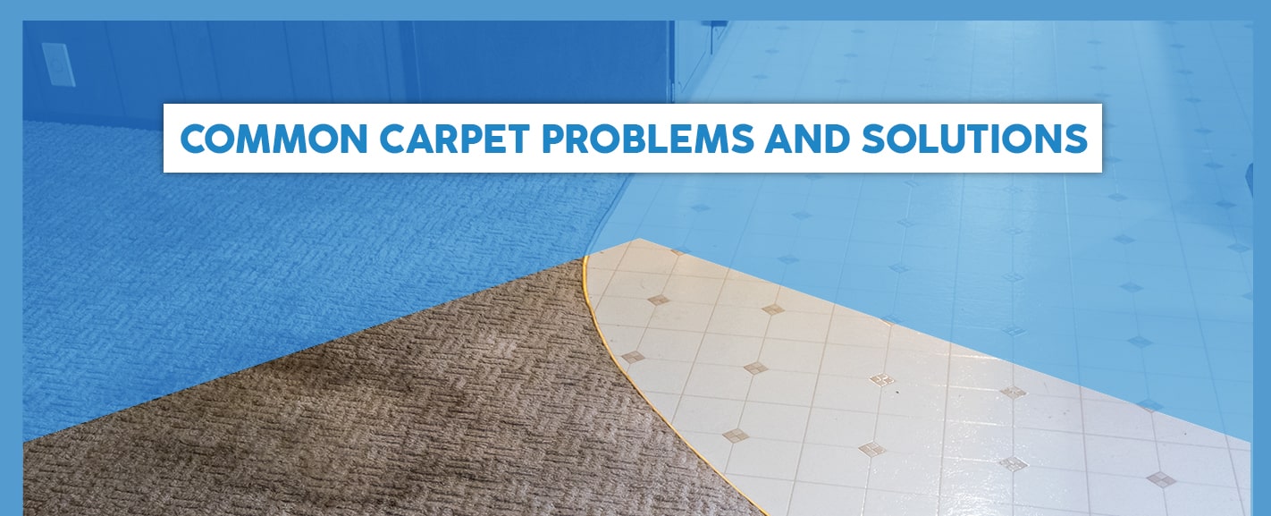 常见的地毯问题和解决方案
